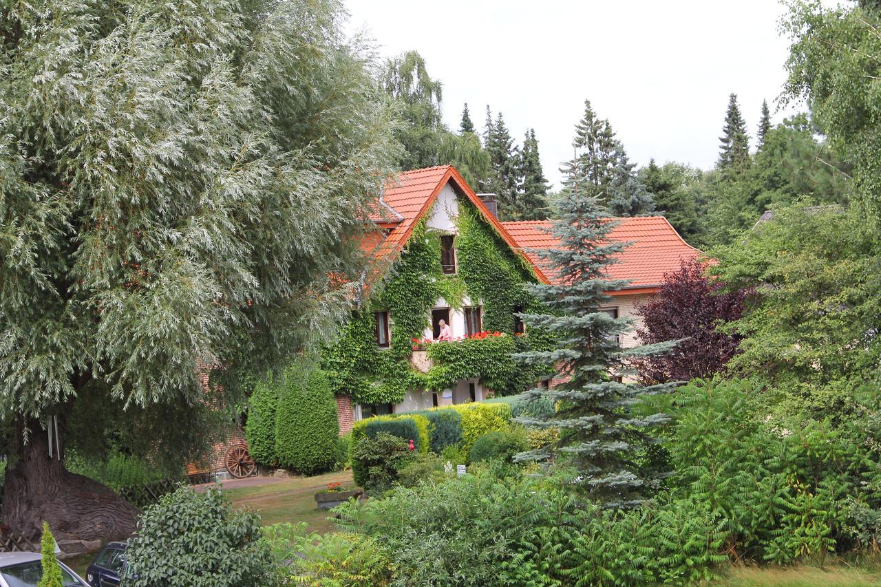 Hotel-Pension Haus Holtdirk 利普施塔特 客房 照片